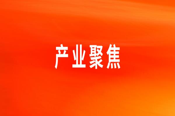 快速响应，用心服务——打造大客户服务的“蓝狮在线测速样板”